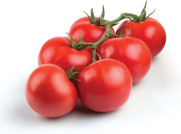 Tomatoes (Box)