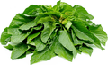 Tete Leaves