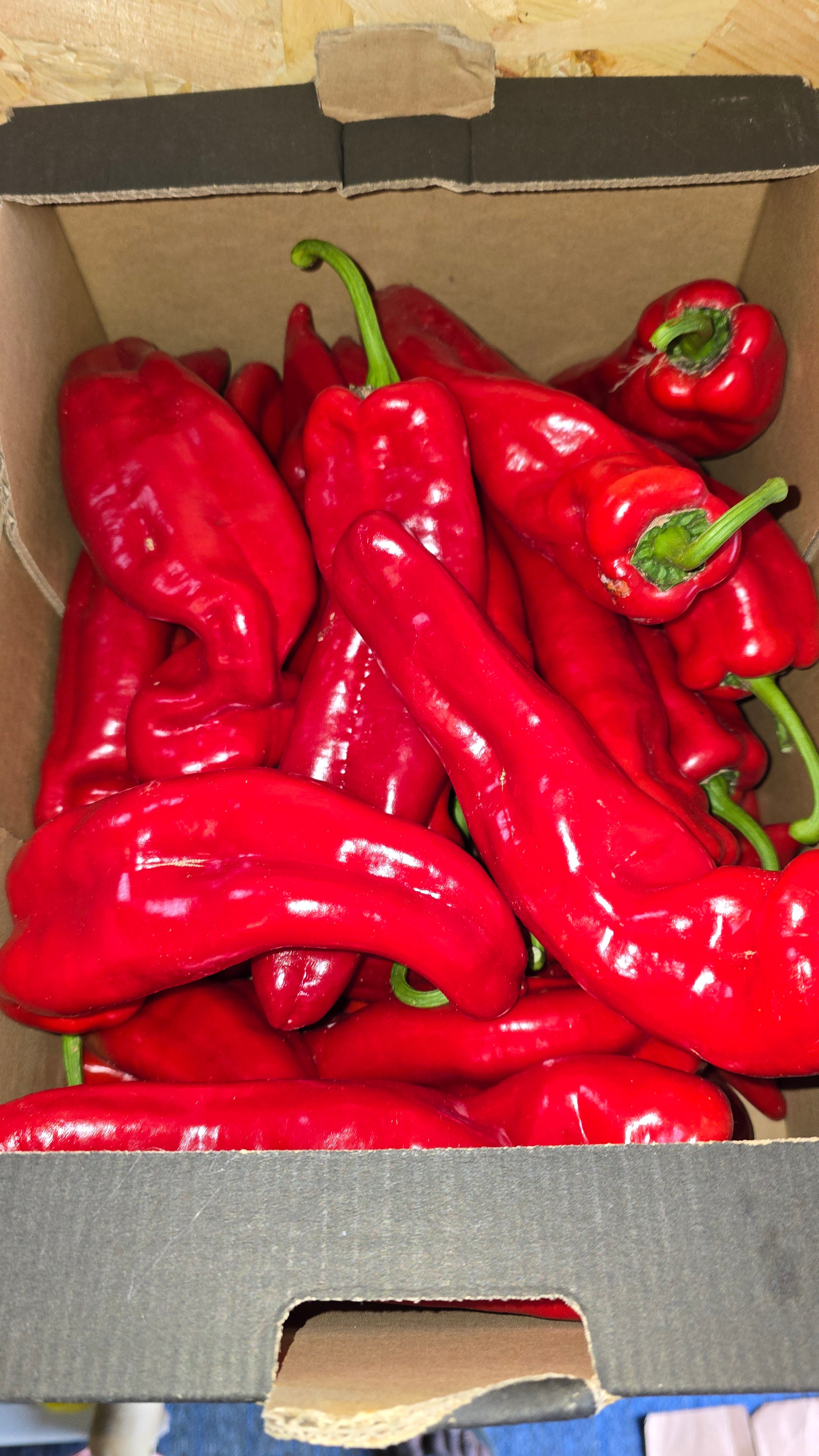 Long Pepper (Box)