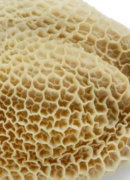 Shaki (per kg)