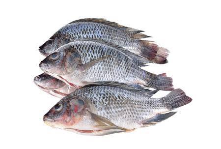 Tilapia 5kg
