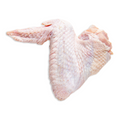Turkey Full Wings 10kg