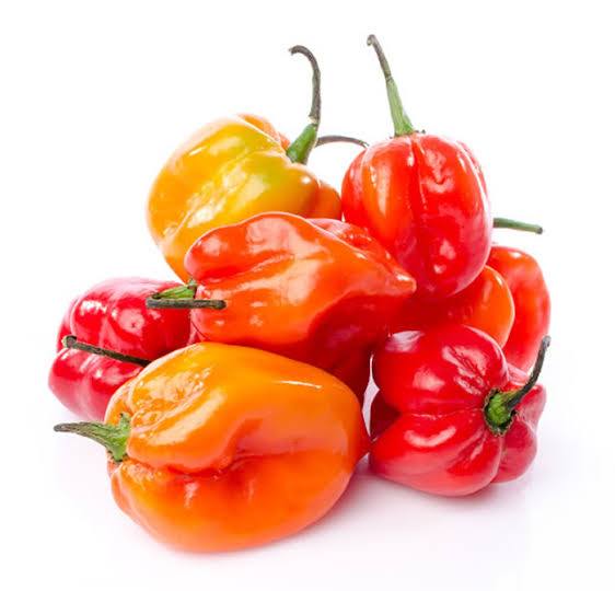 Uganda Scotch Bonnet (Box)